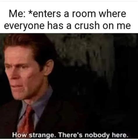 internets memes   funny memes     voted  readers