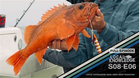 Local Knowledge Deep Drop Rockfish S E Bdoutdoors