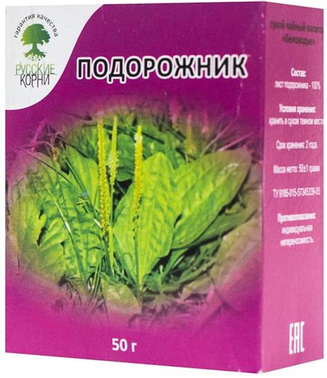 Подорожник лист цена 75 руб, инструкция, описание, полезные свойства ...