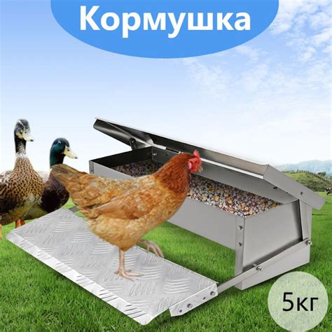 Кормушка для кур-несушек, бройлеров, перепелов, домашней птицы, защита ...
