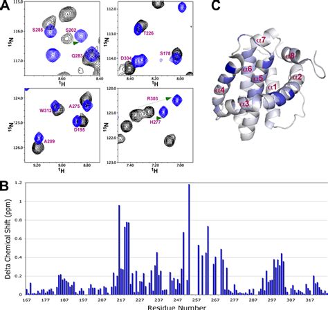 Mapping the BH3 peptide binding groove in MCL-1 by NMR. A, slices of 15 ...