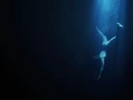 Naked Annina Walt In Eva