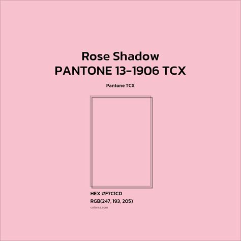 pantone   tcx rose shadow color color codes matching