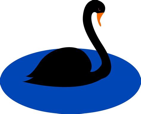 Simple Cartoon Black Swan Vector Illustration On White Background