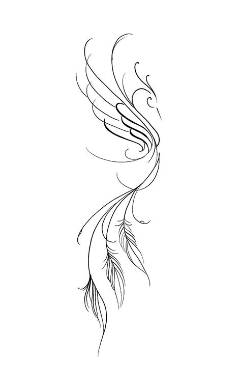 peacock  drawing tattoo