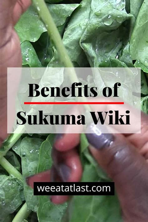 Benefits Of Sukuma Wiki We Eat At Last