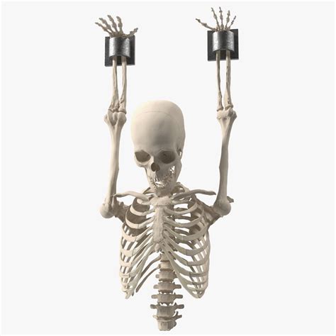 Human Male Remains Skeleton Shackled D Model Ds Blend C D