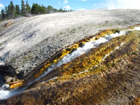 Excelsior Geyser S Distal Runoff Channels Firehole River 10 August