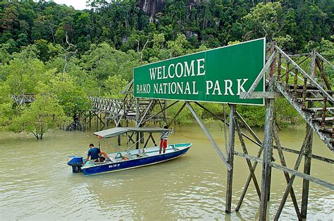 Daytrip Bako National Park | Olaf's Borneo