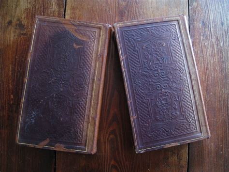 Mazure A Le Portefeuille Dun Jeune Amateur De La Nature De Lhistoire Et De Lart Europe