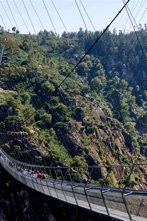 Tallest Suspension Bridge In The World