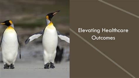 Elevating Healthcare Outcomes Through Strategic Leadership Development