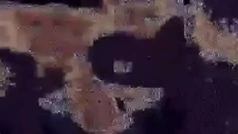 Free BBW Head Porn Videos XHamster