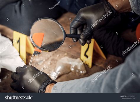 Forensics Crime Scene Stock Photos - 15,432 Images | Shutterstock