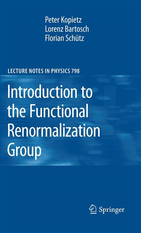 Introduction To The Functional Renormalization Group 798 Lecture