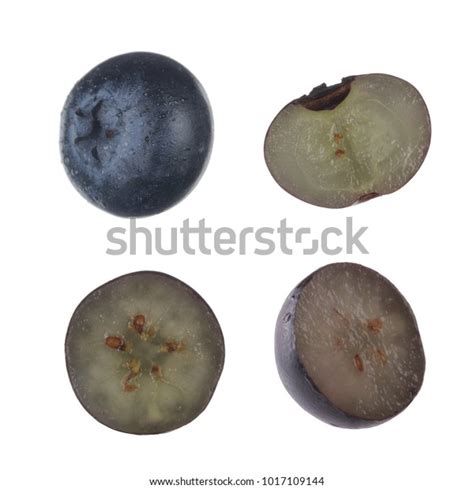 527 Blueberry Cross Section Images, Stock Photos & Vectors | Shutterstock