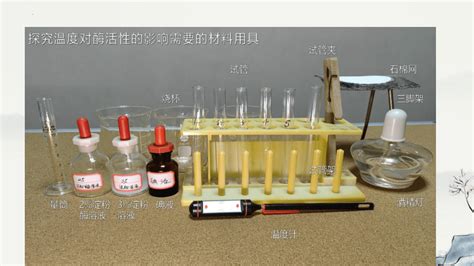 51探究·实践 影响酶活性的条件 教学课件共19张ppt 人教版（2019）必修121世纪教育网 二一教育