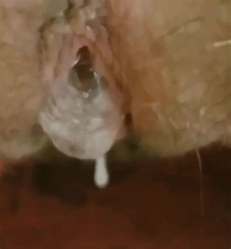 Vidéos porno Creamed Pussy gratuites xHamster