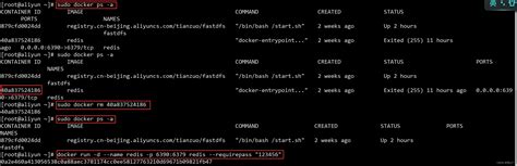 Redis容器被占用并且停止，不知怎么办，重新来过篇容器名占用 Csdn博客