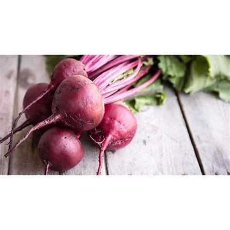Beetroot Seeds Detroit Dark Red 10 Grams Konga Online Shopping