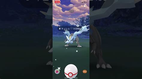 ポケモンgo キュレム屈辱の6連戦‼️色違い来るか⁉️shorts キュレム ウィンターイベント Youtube