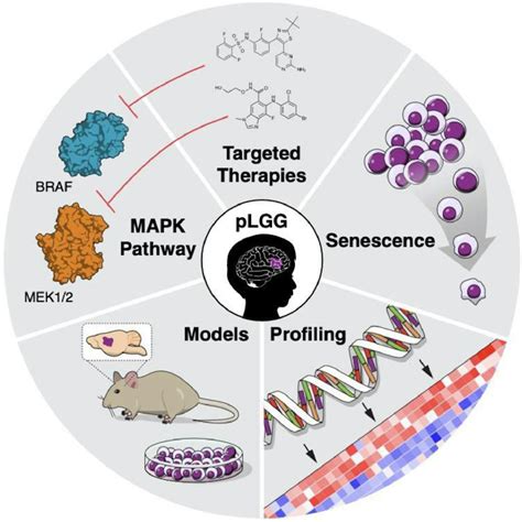 pediatric  grade glioma targeted therapeutics  clinical trials