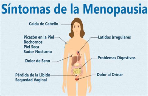 SÍNTOMAS DE LA MENOPAUSIA Y REMEDIOS NATURALES Remedio Vip