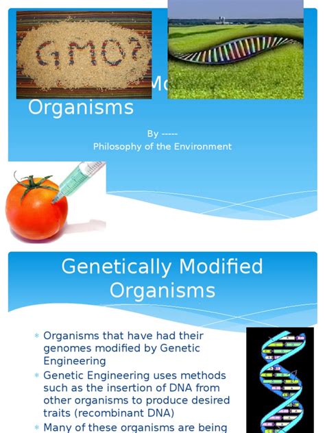 Genetically Modified Organisms | Genetically Modified Food ...