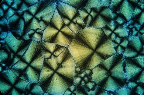 microscopic gallery curated  px px