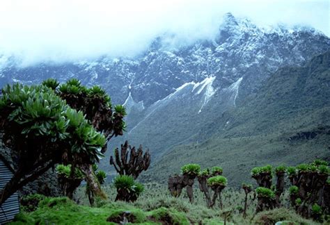 Volcano Climbing In Uganda Safari Vacations Travel Services