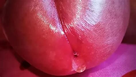 Newest Uhd K P Shemale Porn Videos Free Sex Movies Xhamster