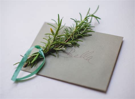 How To Write Your Own Wedding Vows | Lovely Weddings - Live Lovely