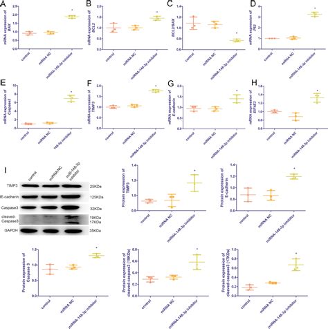 Long Non Coding Rna Linc Overexpression Suppresses Viability