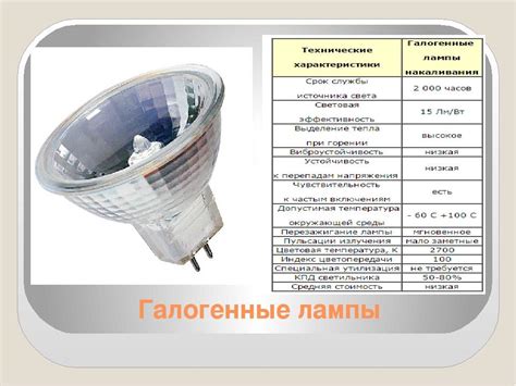 Галогенные лампы на 12 Вольт: принцип работы и ведущие поставщики ламп 12 в