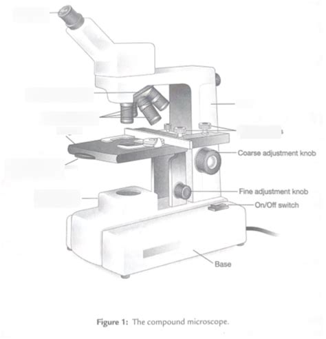 compound microscope Diagram | Quizlet