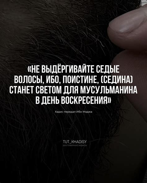 Photo posted by ‎Достоверные Хадисы Пророка Мухаммада ﷺ‎ (@tut_khadisy)