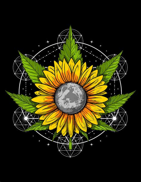 Weed Sacred Geometry Digital Art By Nikolay Todorov Pixels