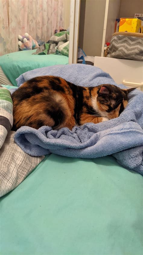 Mukora Gay Gay Homosexual Gay On Twitter