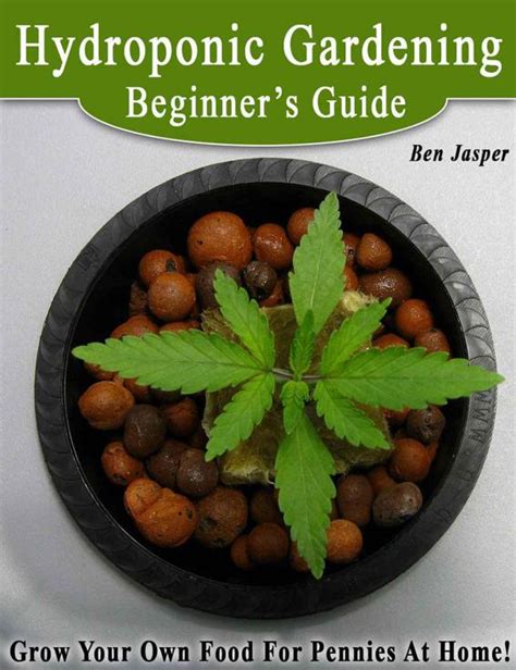 Download Hydroponic Gardening Beginner's Guide PDF by Ben Jasper