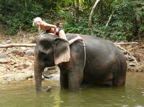 Pin On Elephants And Sexy Women In Bikini Fun Travel