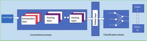 Schematic Diagram Of Typical Cnn Architecture Download Scientific Diagram