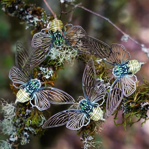 Paper Ghost Cicada 3-Piece Set - Moth & Myth