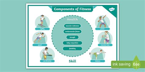 Components Of Fitness Poster Teacher Made Twinkl