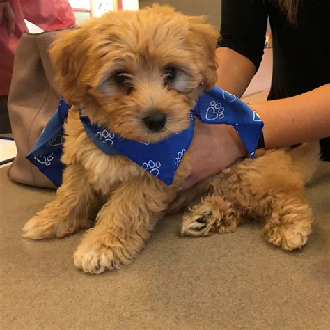 Orange County Veterinary Hospital - Home | Facebook
