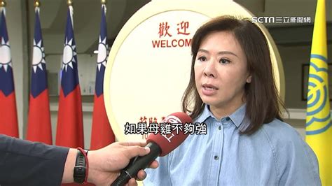 母雞不夠力！藍立委參選人遲未掛侯友宜合照 李彥秀：小雞靠自己 政治 三立新聞網 Setncom