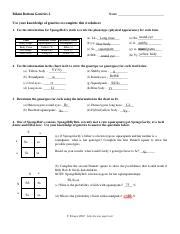 Bikini Bottom Genetics PDF Dominance Genetics Zygosity Worksheets Library
