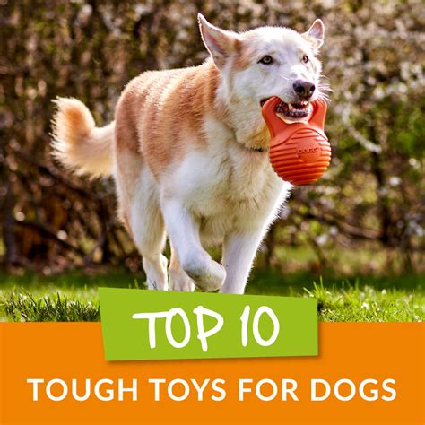 Doggi Dog Toys