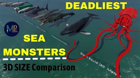 Deadliest Sea Monsters Size Comparison 3d Animal Size Comparison