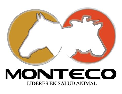 Proyectos | Link Tree