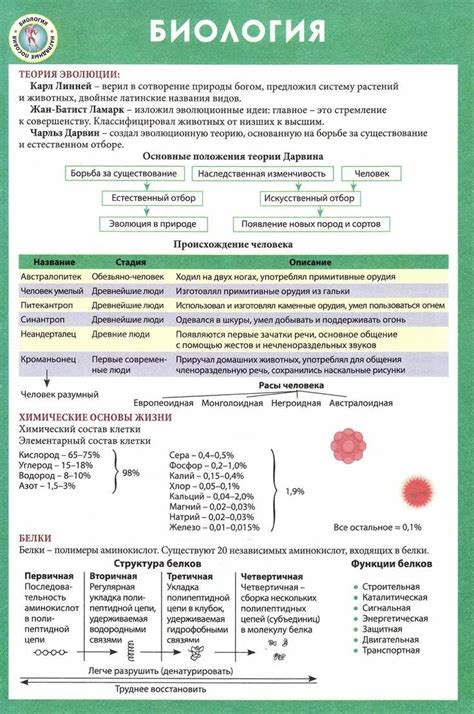 Егэ биология формулы